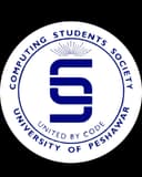 CSS Logo