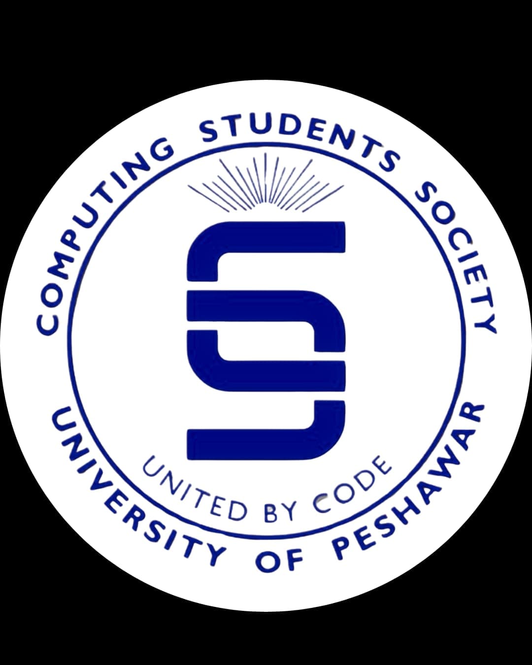 CSS Logo